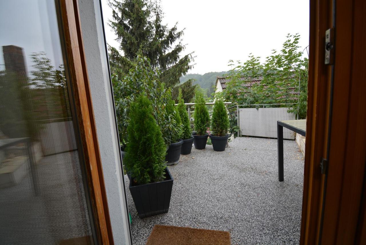 Lu'S Appartement Bad Berneck im Fichtelgebirge Dış mekan fotoğraf